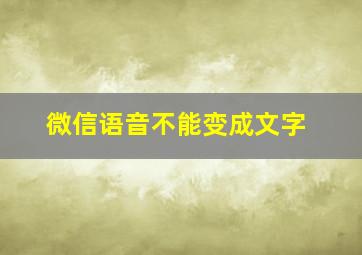 微信语音不能变成文字