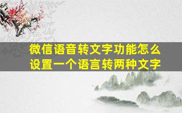 微信语音转文字功能怎么设置一个语言转两种文字