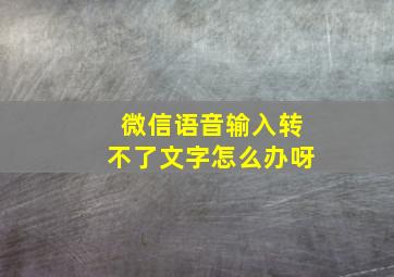 微信语音输入转不了文字怎么办呀