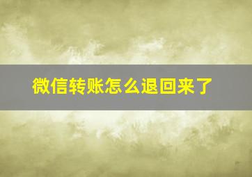 微信转账怎么退回来了