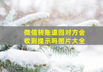 微信转账退回对方会收到提示吗图片大全