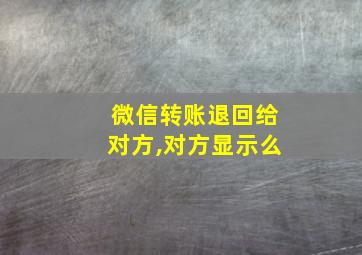 微信转账退回给对方,对方显示么