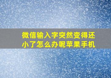 微信输入字突然变得还小了怎么办呢苹果手机