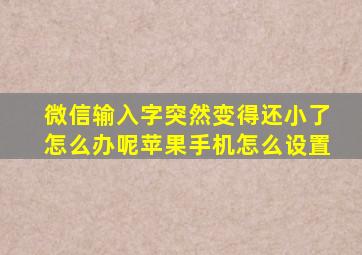 微信输入字突然变得还小了怎么办呢苹果手机怎么设置