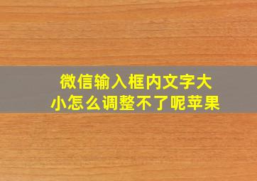 微信输入框内文字大小怎么调整不了呢苹果