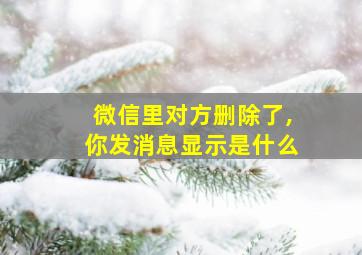 微信里对方删除了,你发消息显示是什么