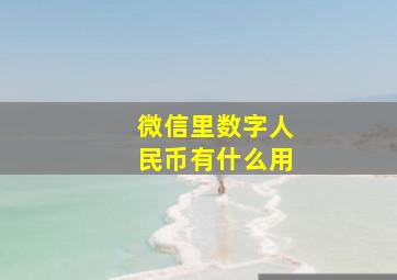 微信里数字人民币有什么用