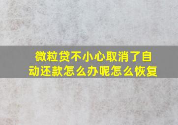 微粒贷不小心取消了自动还款怎么办呢怎么恢复