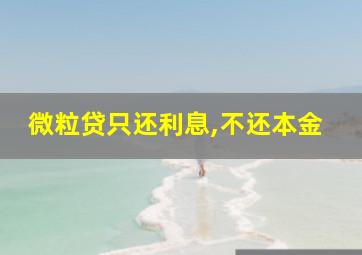 微粒贷只还利息,不还本金