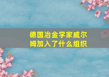 德国冶金学家威尔姆加入了什么组织