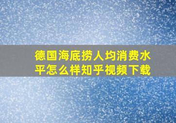 德国海底捞人均消费水平怎么样知乎视频下载