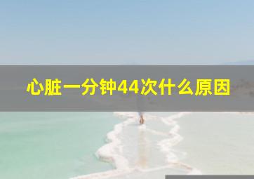 心脏一分钟44次什么原因