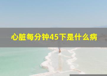 心脏每分钟45下是什么病