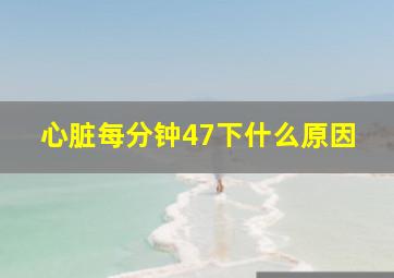 心脏每分钟47下什么原因