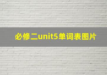 必修二unit5单词表图片