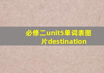 必修二unit5单词表图片destination