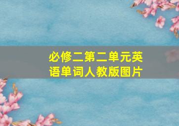 必修二第二单元英语单词人教版图片