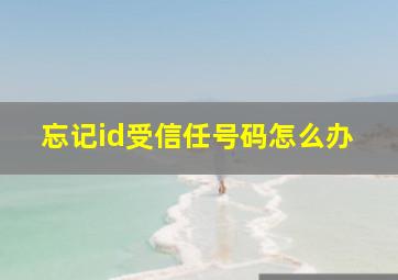 忘记id受信任号码怎么办