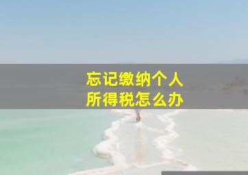 忘记缴纳个人所得税怎么办