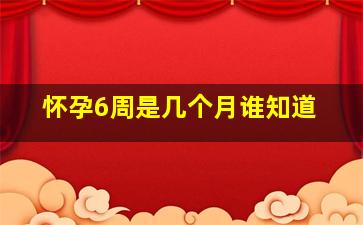 怀孕6周是几个月谁知道