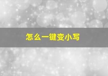 怎么一键变小写