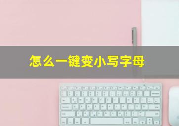 怎么一键变小写字母