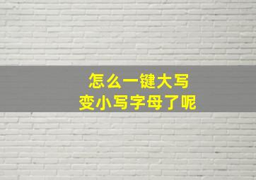 怎么一键大写变小写字母了呢