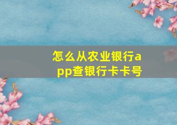 怎么从农业银行app查银行卡卡号