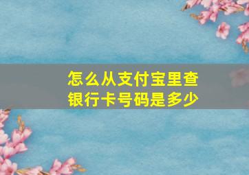 怎么从支付宝里查银行卡号码是多少