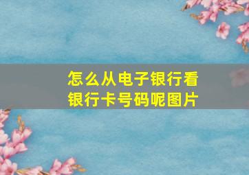 怎么从电子银行看银行卡号码呢图片