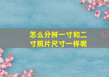 怎么分辨一寸和二寸照片尺寸一样呢