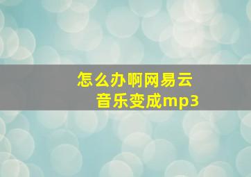 怎么办啊网易云音乐变成mp3