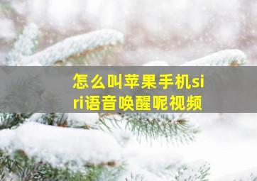 怎么叫苹果手机siri语音唤醒呢视频