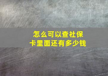 怎么可以查社保卡里面还有多少钱