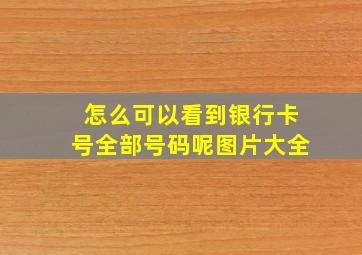 怎么可以看到银行卡号全部号码呢图片大全