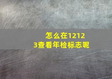 怎么在12123查看年检标志呢