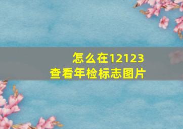 怎么在12123查看年检标志图片