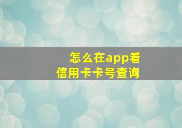 怎么在app看信用卡卡号查询