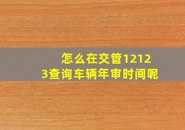 怎么在交管12123查询车辆年审时间呢