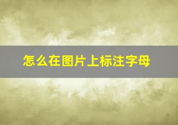 怎么在图片上标注字母