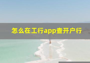 怎么在工行app查开户行