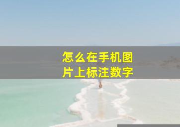 怎么在手机图片上标注数字