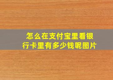 怎么在支付宝里看银行卡里有多少钱呢图片