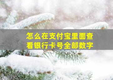 怎么在支付宝里面查看银行卡号全部数字