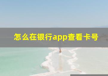 怎么在银行app查看卡号