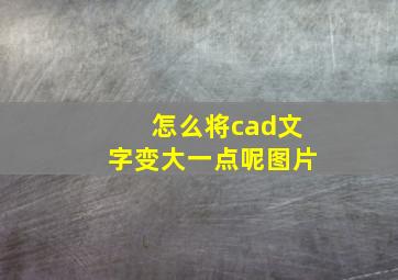 怎么将cad文字变大一点呢图片