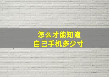 怎么才能知道自己手机多少寸