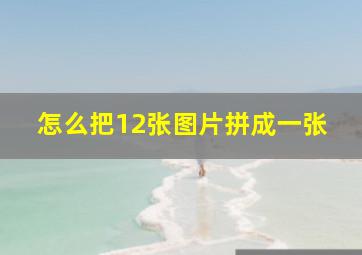 怎么把12张图片拼成一张