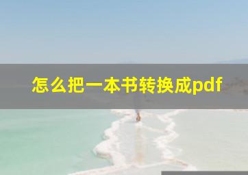 怎么把一本书转换成pdf