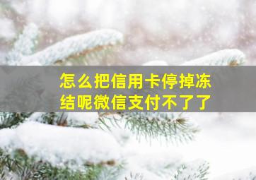 怎么把信用卡停掉冻结呢微信支付不了了